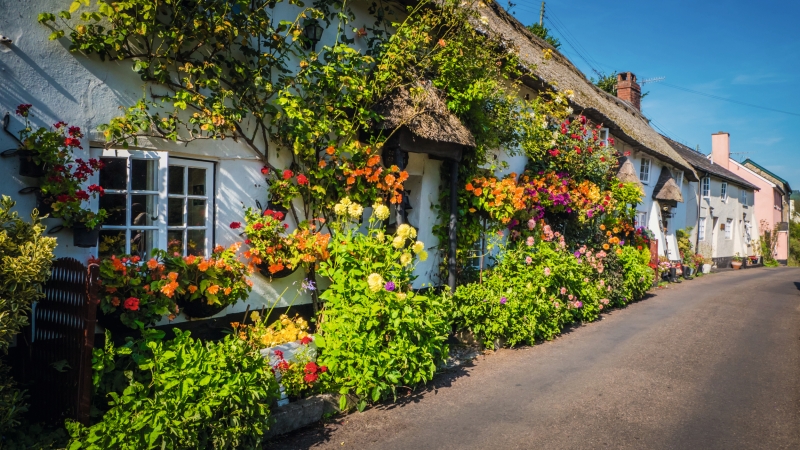 Reihenhaus mit Blumen und Efeu an den Wänden entlang einer Dorfstraße.