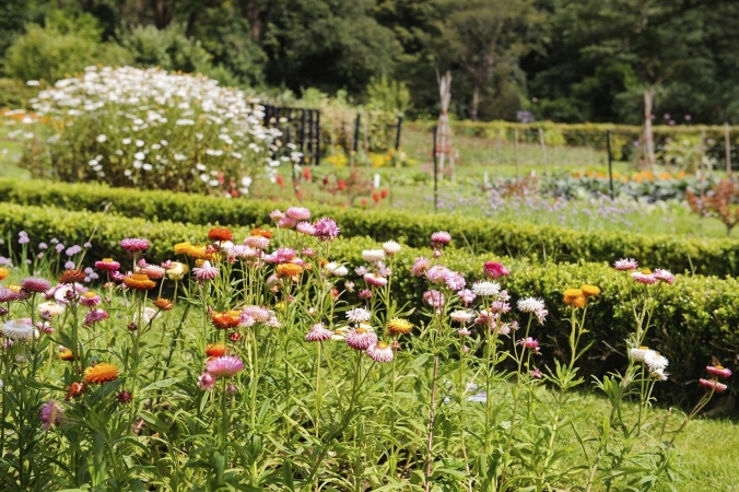 Summer Bloom at Kylemore Abbey Gardens, Co Galway, Irland