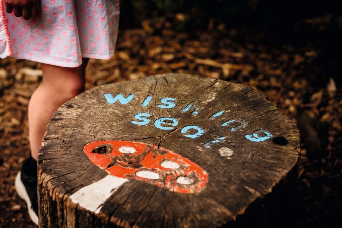 Lough Boora Discovery Parkk, Tullamore, Co Offaly, Irland