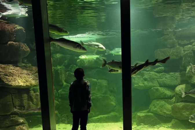 Galway Atlantaquaria, Galway City, Irland