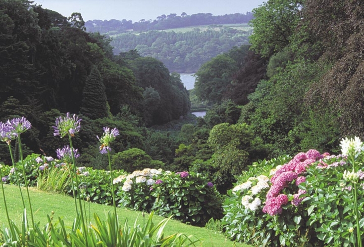 Trebah Gardens