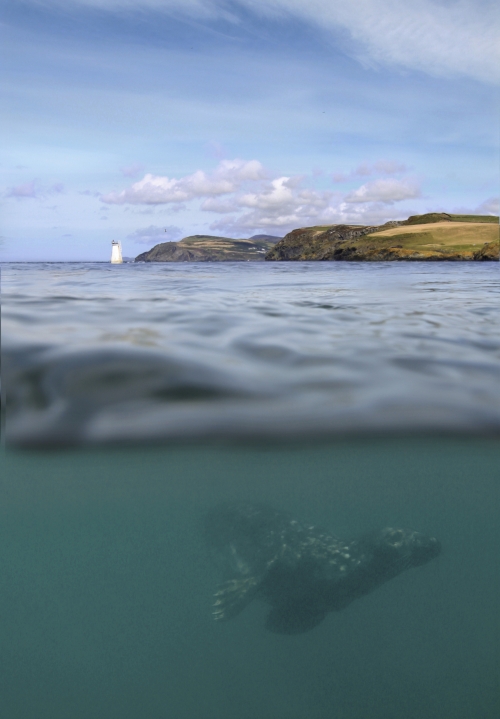 Calf of Man Isle of Man