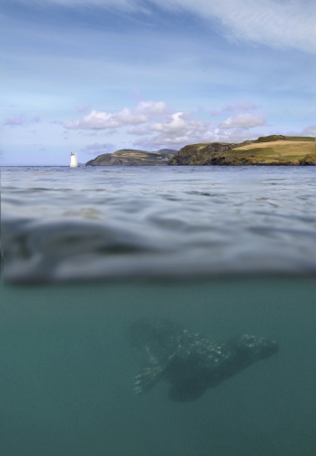 Calf of Man Isle of Man