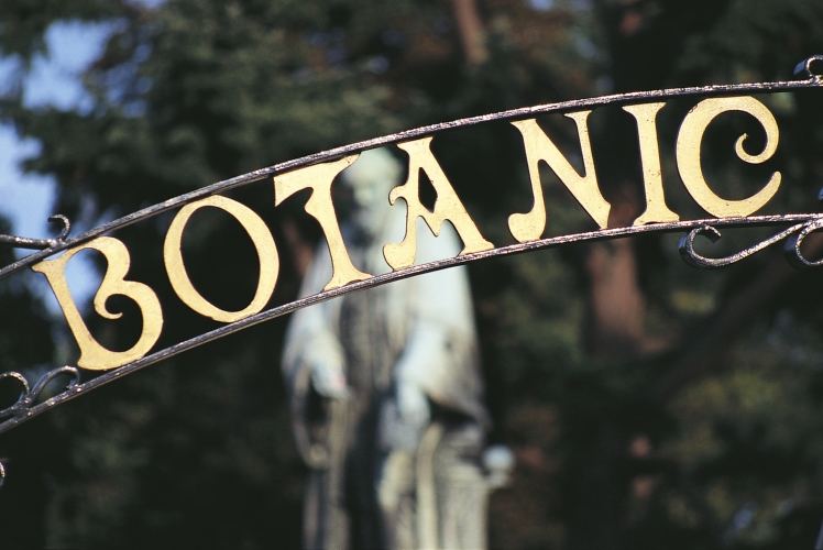 Botanischer Garten Belfast