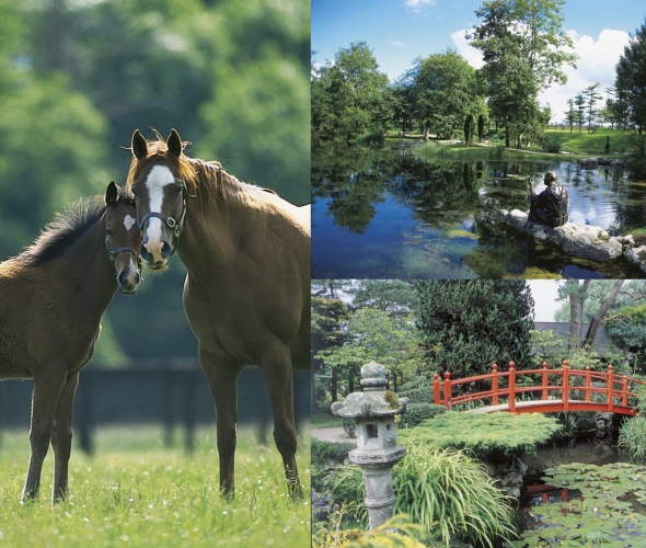 Irish National Stud & Gardens