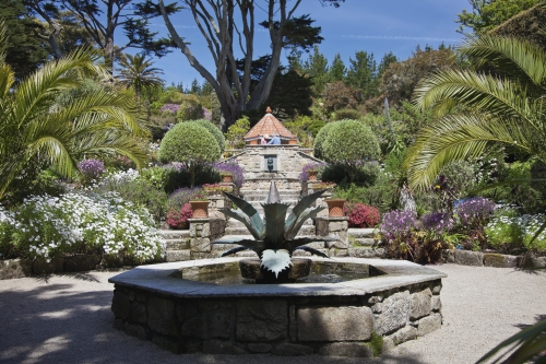 Tresco Abbey Garden Scilly Inseln
