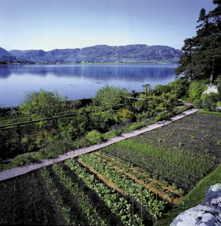 Busreise Schottland entspannt genießen
