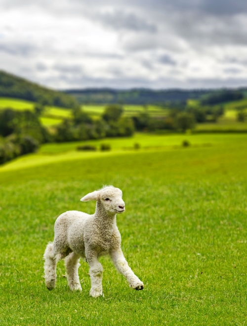 Yorkshire Dales Nationalpark