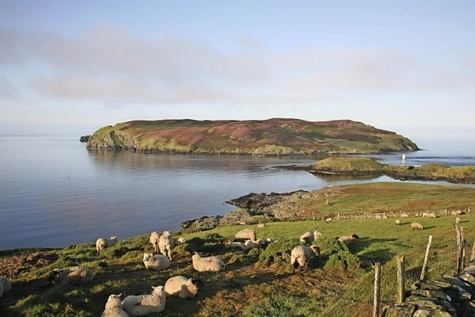 The Calf of Man auf der Isle of Man