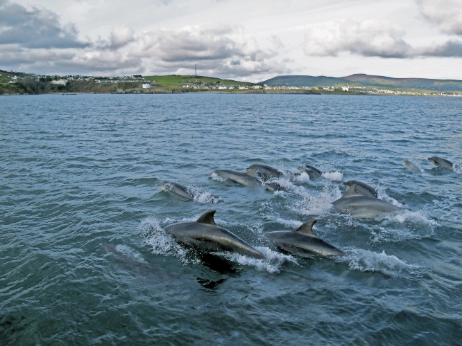 UNESCO Biosphere Isle of Man