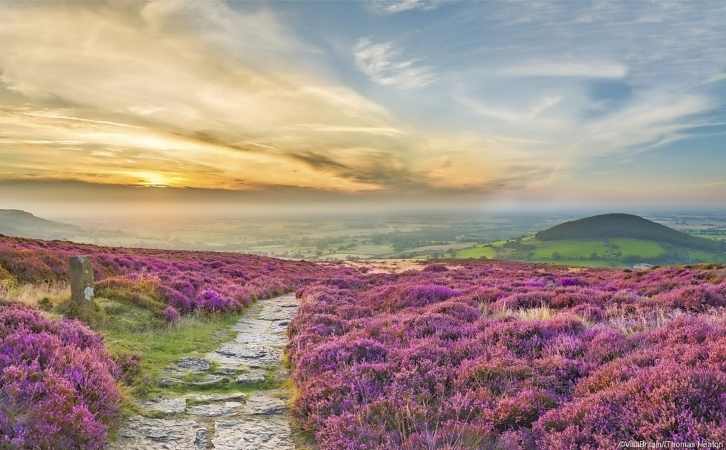 North York Moors Landschaft