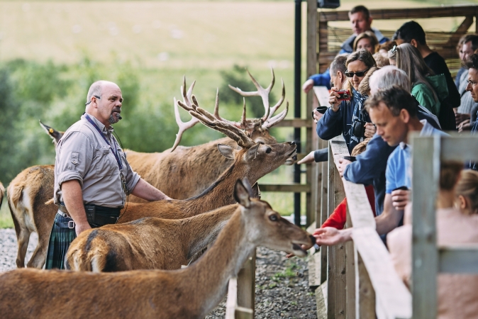 Highland Safari Schottland